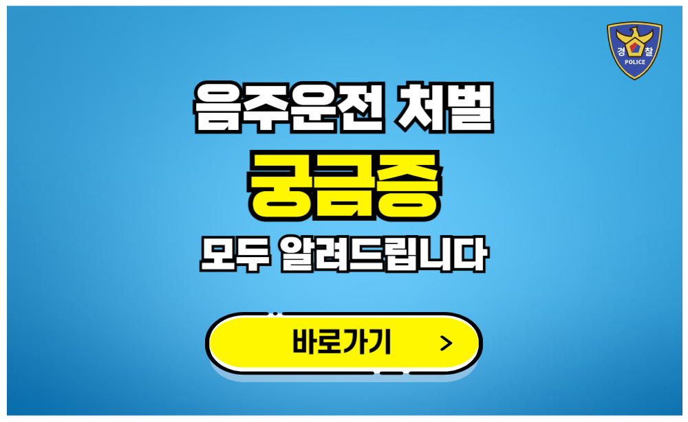 음주운전 처벌궁금증 벌금 전과 구속